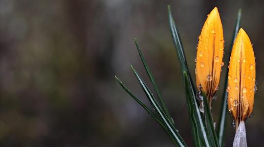 Időjárás: Zápor után fordulat, mutatjuk, mikor ér hozzád a 17 fokos meleg +VIDEÓ Időjárás: Zápor után fordulat, mutatjuk, mikor ér hozzád a 17 fokos meleg +VIDEÓ