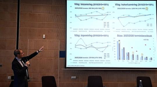 Potori: Nagy fordulat készül a kukorica piacán! Potori: Nagy fordulat készül a kukorica piacán!