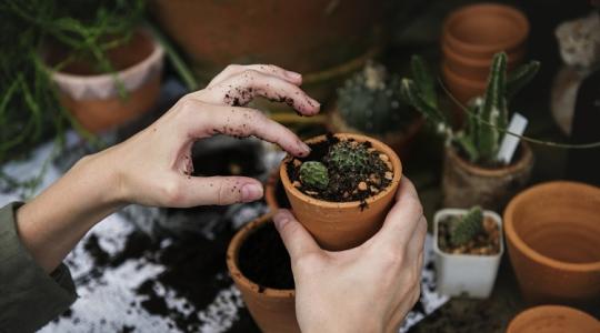 Most kell észnél lenni a kertben