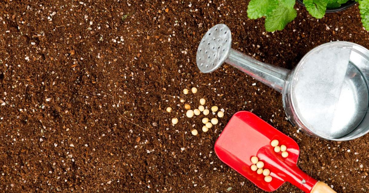 Vetés ideje: mikor melyik zöldséget érdemes elvetni?