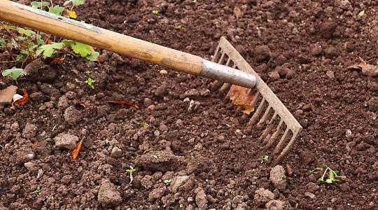 Talaj előkészítése vetés előtt: mit kell most megtenni?