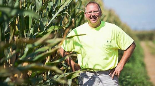 27 tonna kukorica hektáronként – rekord vagy reális cél? +VIDEO