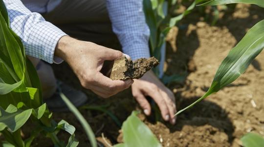 Ők már tudják: itt az új módszer, amivel a magyar gazdák is többet kereshetnek