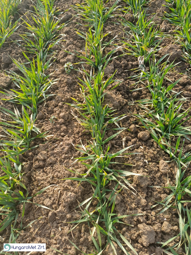 agrometeorológia agrometeorológia