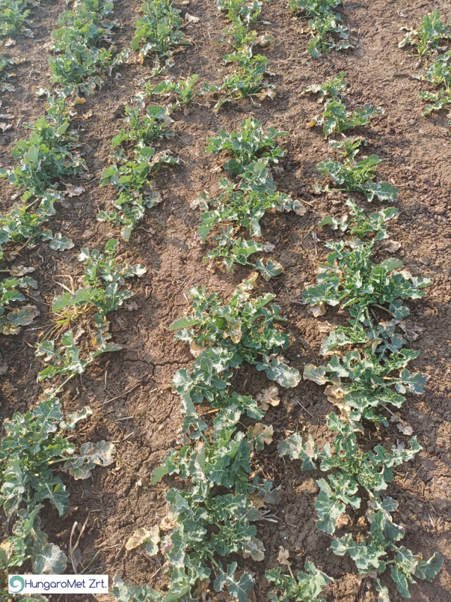 agrometeorológia agrometeorológia