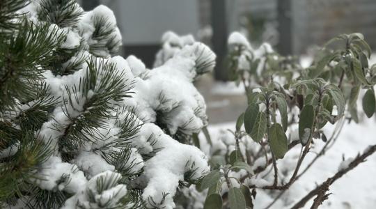 Mit NE csinálj, ha leesik a nagy hó februárban? Mit NE csinálj, ha leesik a nagy hó februárban?