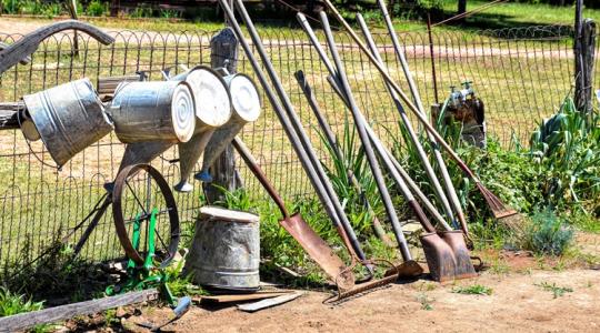 Ha ezt elvégzed a kertben, sokkal jobb lesz a termés