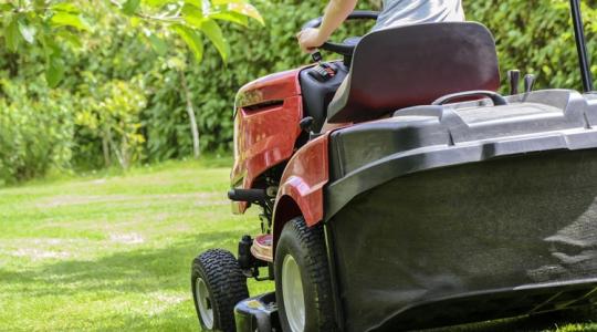 Ha túl korán nyírod a füvet, kárt tehetsz benne