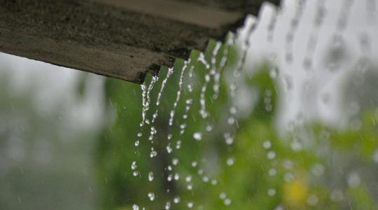 Esővíz gyűjtés a kertben: milyen rendszer a legjobb? Esővíz gyűjtés a kertben: milyen rendszer a legjobb?