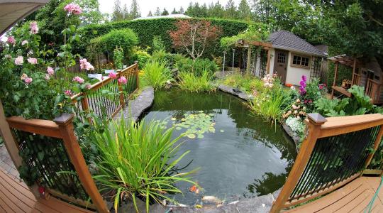 Kerti tó tisztítás tavasszal: mikor érdemes?