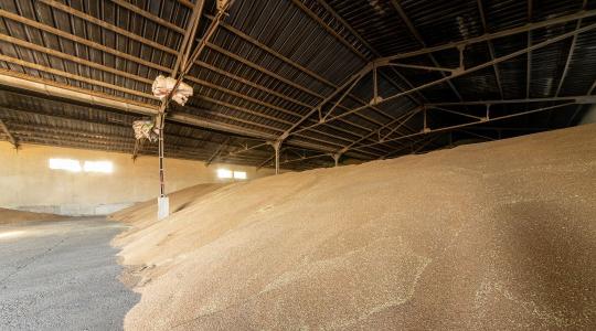 Betilthatják az irreálisan alacsony felvásárlási árakat