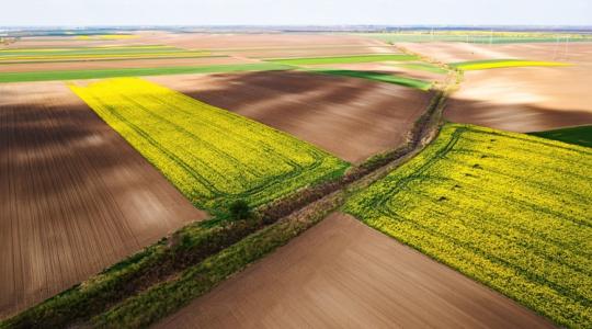 Döbbenetes adatok a régióból: ezért irigykedhetnek ránk a román és szlovák gazdák