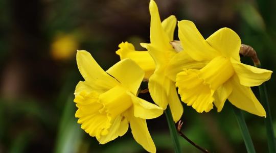 Időjárás: Hajnalban még harap a tél, de a traktorra már pólóban ülhetsz fel +VIDEÓ Időjárás: Hajnalban még harap a tél, de a traktorra már pólóban ülhetsz fel +VIDEÓ