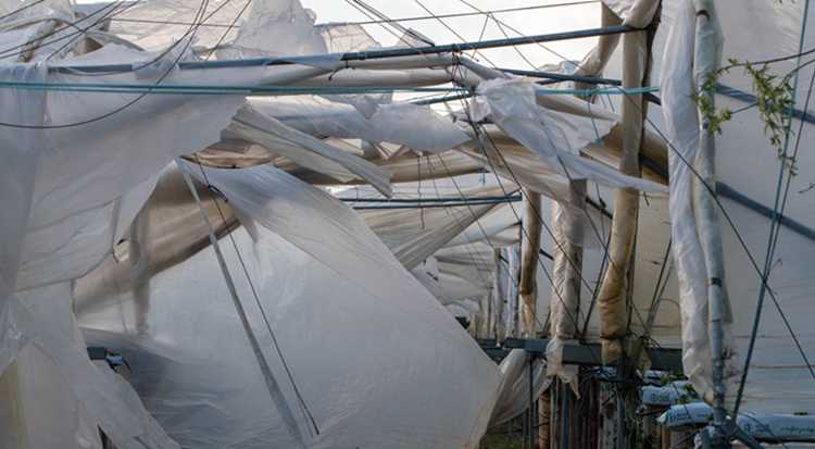 Ennyi fóliát most nagyon nehéz pótolni