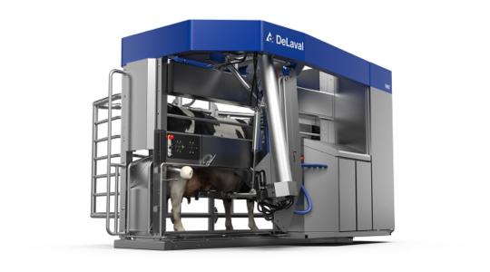 Másodpercekből kapacitás: Hogyan növeli a DeLaval VMS Flow-Responsive Milking (tejfolyás-vezérelt fejéstechnológia) a robot teljesítményét?