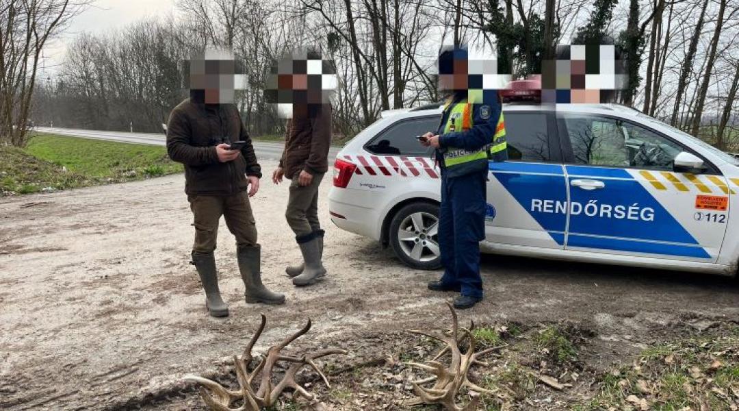 Csapdába csalták az agancstolvajokat Lábodon: Öt perc alatt kint volt a rendőrség