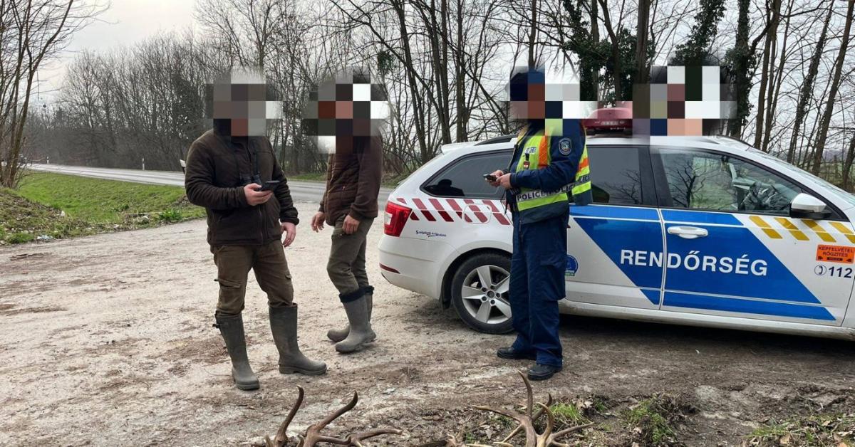 Csapdába csalták az agancstolvajokat Lábodon: Öt perc alatt kint volt a rendőrség Csapdába csalták az agancstolvajokat Lábodon: Öt perc alatt kint volt a rendőrség