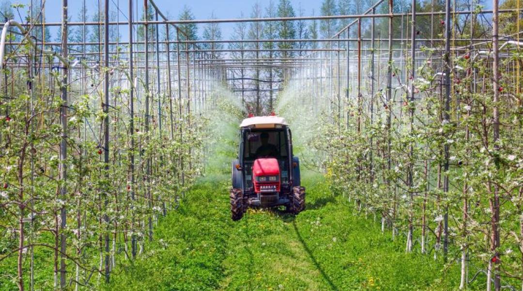 Mérgező-e az alma? Egy biológus tisztázza a félreértéseket