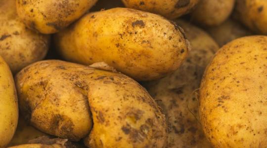 Nagyobb a baj, mint gondolnánk: az egész termelés áldozatul eshet a krízisnek