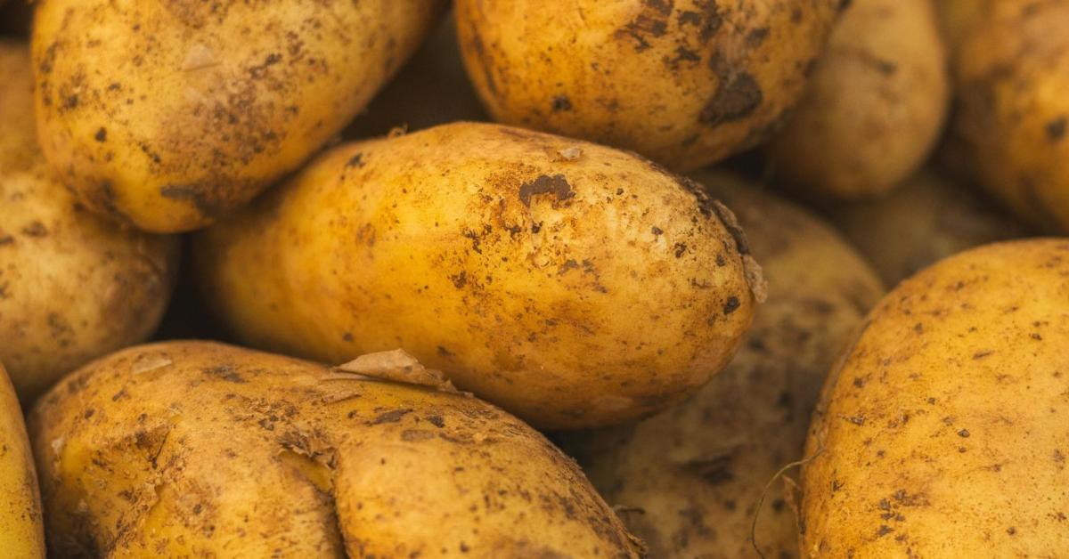 Nagyobb a baj, mint gondolnánk: az egész termelés áldozatul eshet a krízisnek