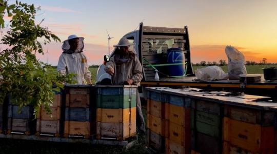 Harmadik generáció a kaptárak között – prémium irány a jövő?