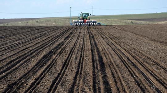 Ekkora versenyelőnyben Ukrajna az árrobbanás idején