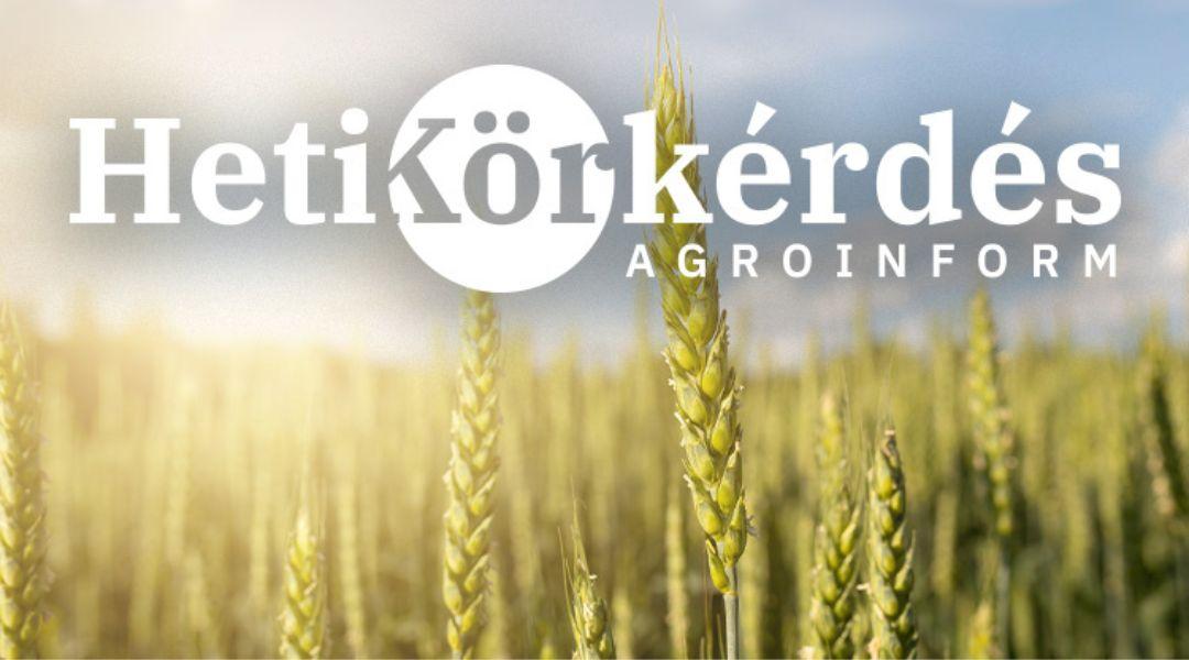 Mikorra időzítsük a korai gombaölő védekezést, és mit takar a kritikus levélszint egészségi állapotának megőrzése? – Heti Körkérdés