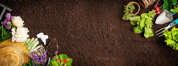 tavaszi kerti munkák