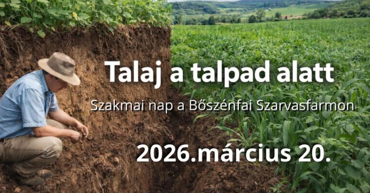 Talaj a talpad alatt – Bőszénfa