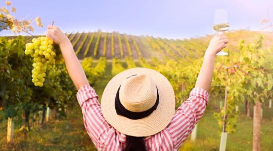 Van szőlőd? Akkor ezt tedd vele tavasszal!