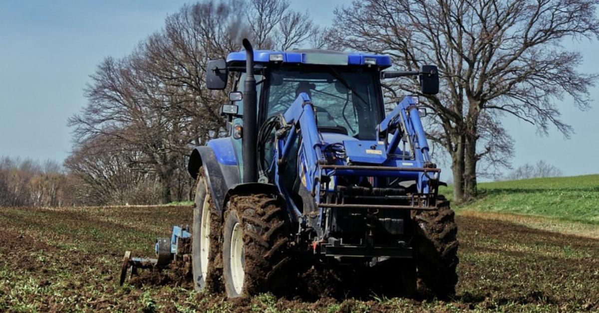 3 napos időjárás-előrejelzés: Használd ki a jó időt! 