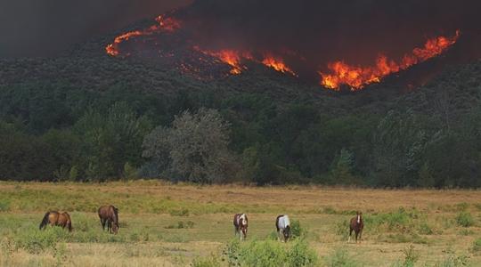 Szigorú tilalom és súlyos bírság jöhet két vármegyében: a száraz idő miatt van minden