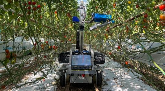 Nem fárad el, nem kér fizetésemelést, és szempillantás alatt leszedi a termést +VIDEÓ