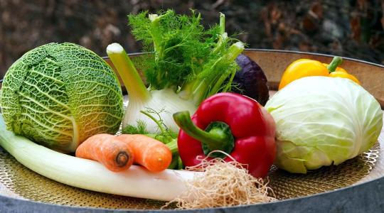 Véget ért az olcsó munkaerő és a könnyű hitelek korszaka a kertészetben