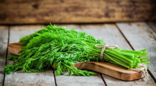 Most vesd el a kaprot! A veteményest is megvédi és a rovarokat is távol tartja!