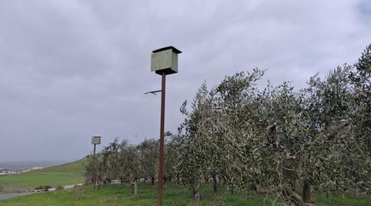 Pocokinvázió fenyeget? Hívd segítségül a természet leghatékonyabb ragadozóját!