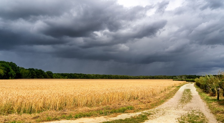 A cégháló fedése alatt könnyű földhöz jutni