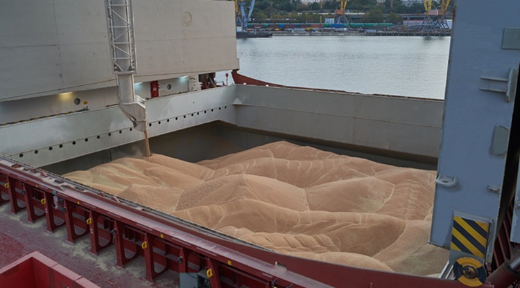 Most semmi nem úgy működik a gabonapiacon, ahogy azt megszoktuk Most semmi nem úgy működik a gabonapiacon, ahogy azt megszoktuk