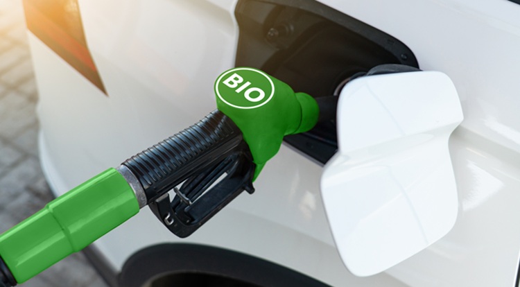 A bioüzemanyag-gyártás összes alapanyaga több papírmunkával lesz termelhető