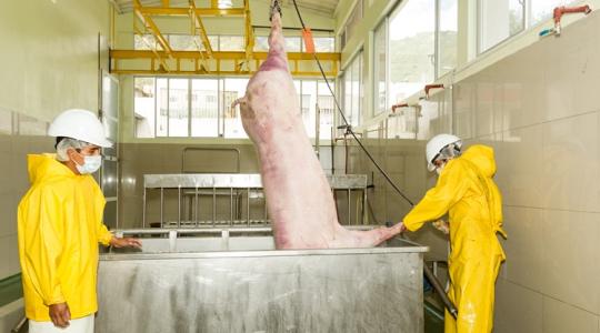 A „Nagy Testvér” beköltözik a vágóhidakra A „Nagy Testvér” beköltözik a vágóhidakra