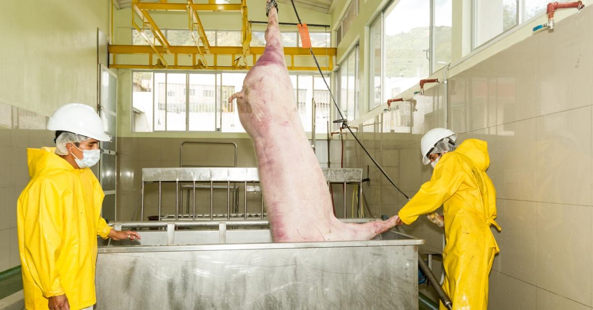 A „Nagy Testvér” beköltözik a vágóhidakra