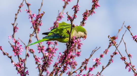 3 napos előrejelzés: Mire megnyugodnánk, hogy itt a tavasz, újra van miért aggódni 3 napos előrejelzés: Mire megnyugodnánk, hogy itt a tavasz, újra van miért aggódni