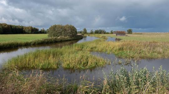 Belvizes területtel küzdesz? Itt a lehetőség, hogy ne teher legyen, hanem haszon