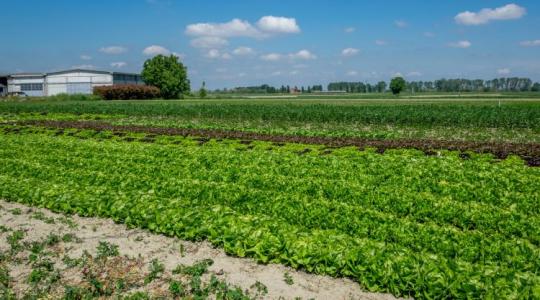 Három hektár is elég lehet: ez a kis biofarm akár hét embernek is munkát ad