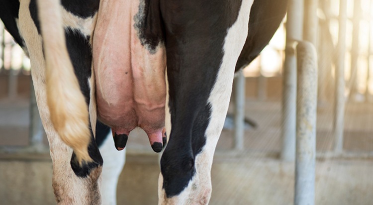 Nincs értéke a tejnek