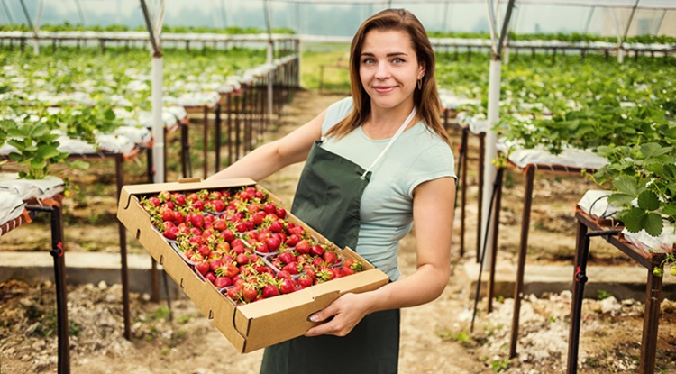 A termelésnek nehéz követnie a fogyasztási szokások változását