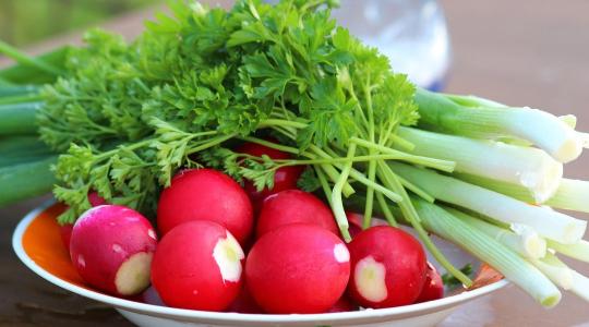 Titkos fegyver a tavaszi fáradtság ellen: zöldségek, amik „átmossák” a szervezetedet