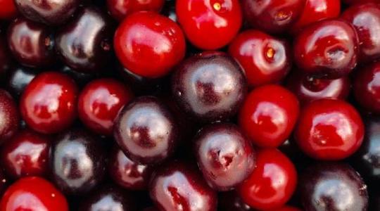 Erre biztos nem gondoltál: a fagy nem csak a gyümölcstermesztést veszélyezteti