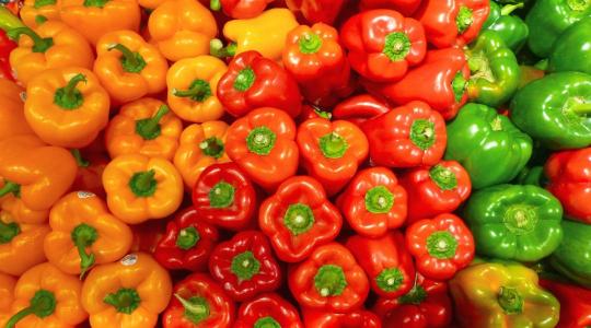 Kilőttek a zöldségárak ebben az országban: alig van paradicsom, drága a paprika