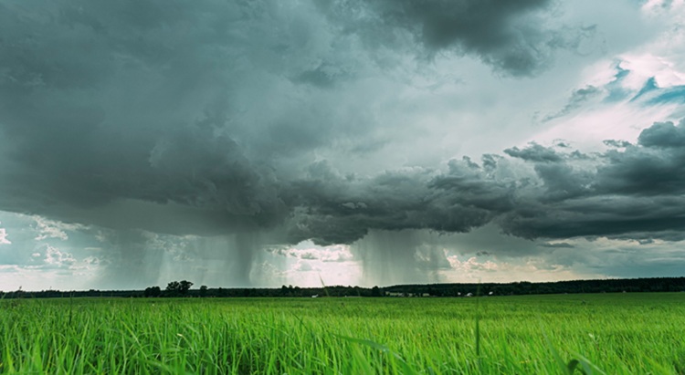 Lesz elég eső, és nemcsak nálunk